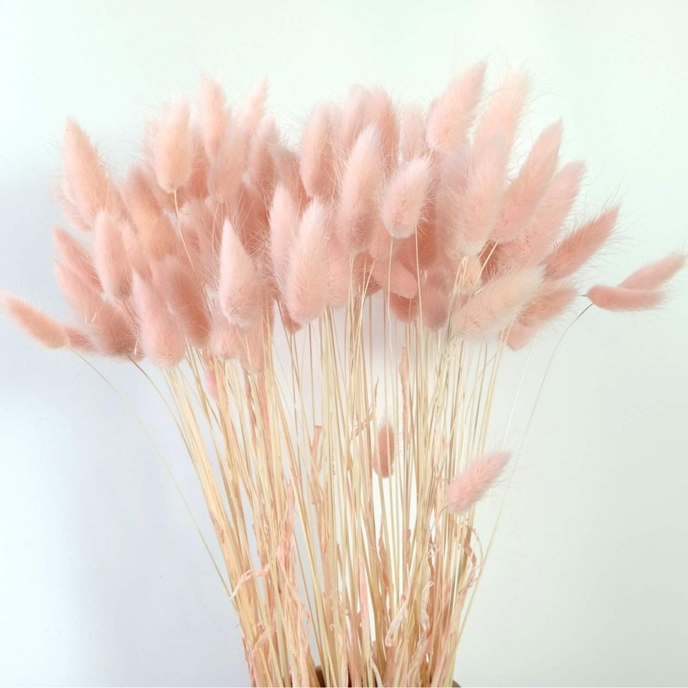 Bunny's tail